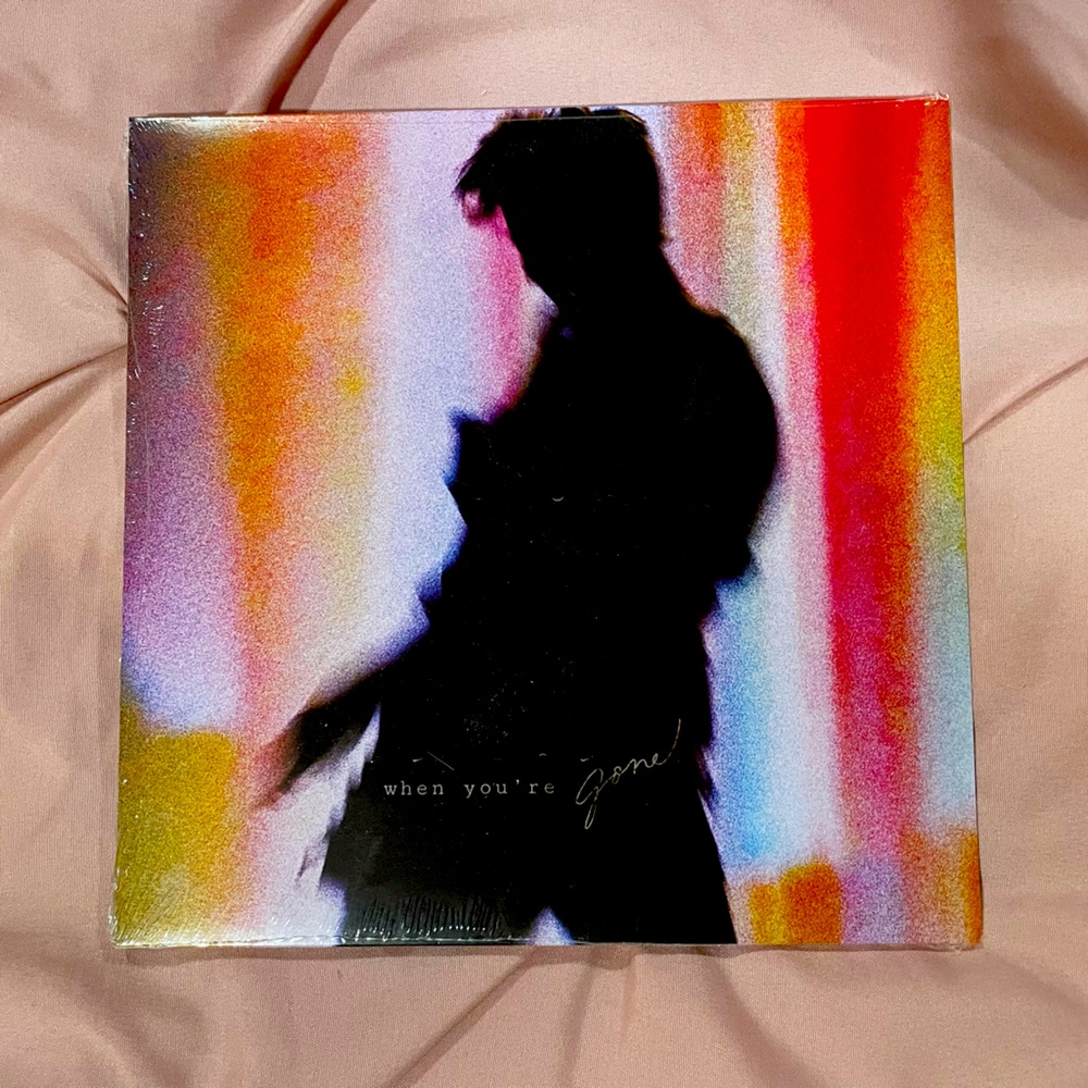 Shawn Mendes when you’re gone single vinyl